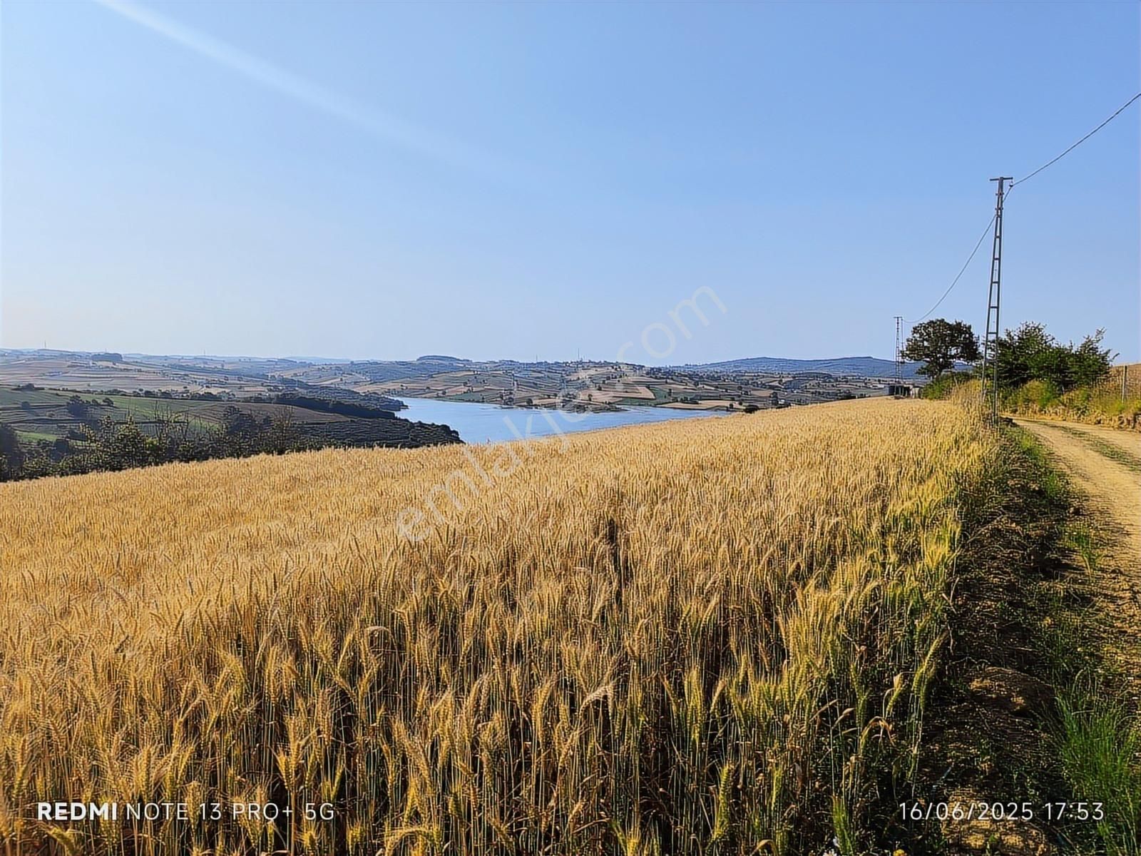 Baraj Manzaralı Tarla Sizi Bekliyor Kaçırılmaz Fırsat - Görsel 2