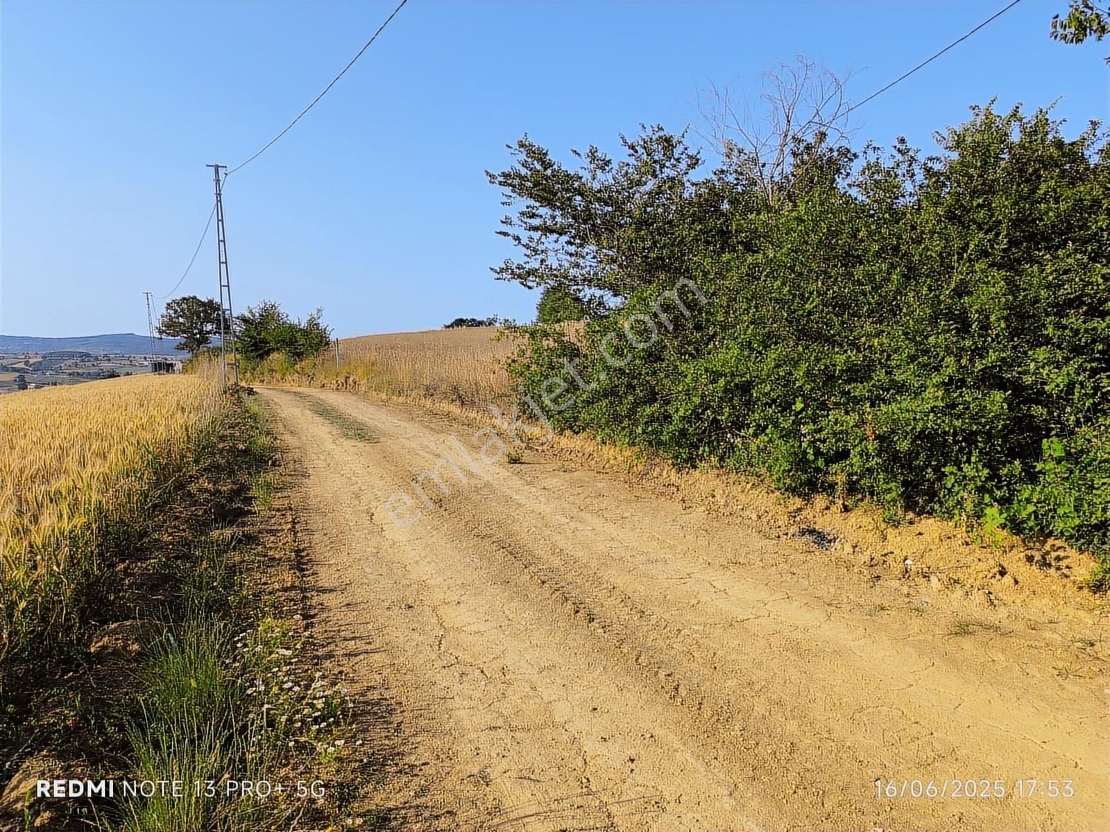 Baraj Manzaralı Tarla Sizi Bekliyor Kaçırılmaz Fırsat - Görsel 9