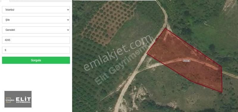 Ağva Geredeli Yağcılar Köyünde 2.666m2 Yatırımlık Tarla