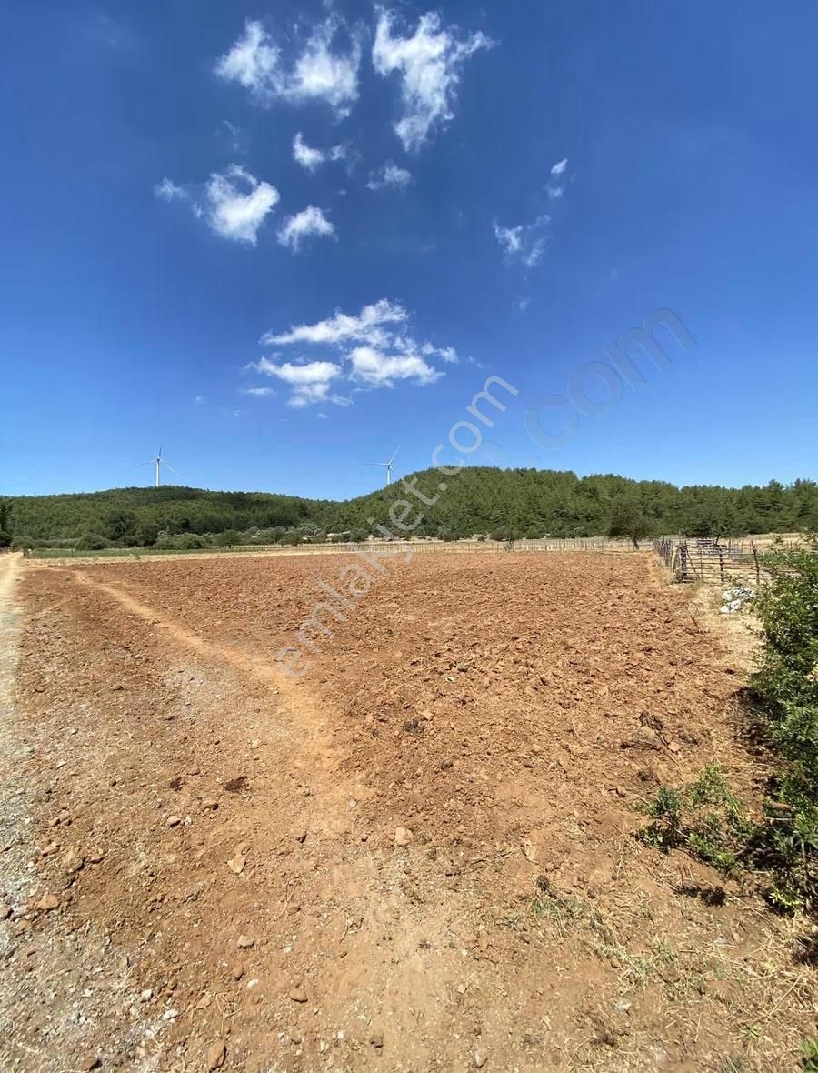 Bodrum Mazı'da Satılık Kadastral Yola 52 Metre Cepheli Tarla - Görsel 3
