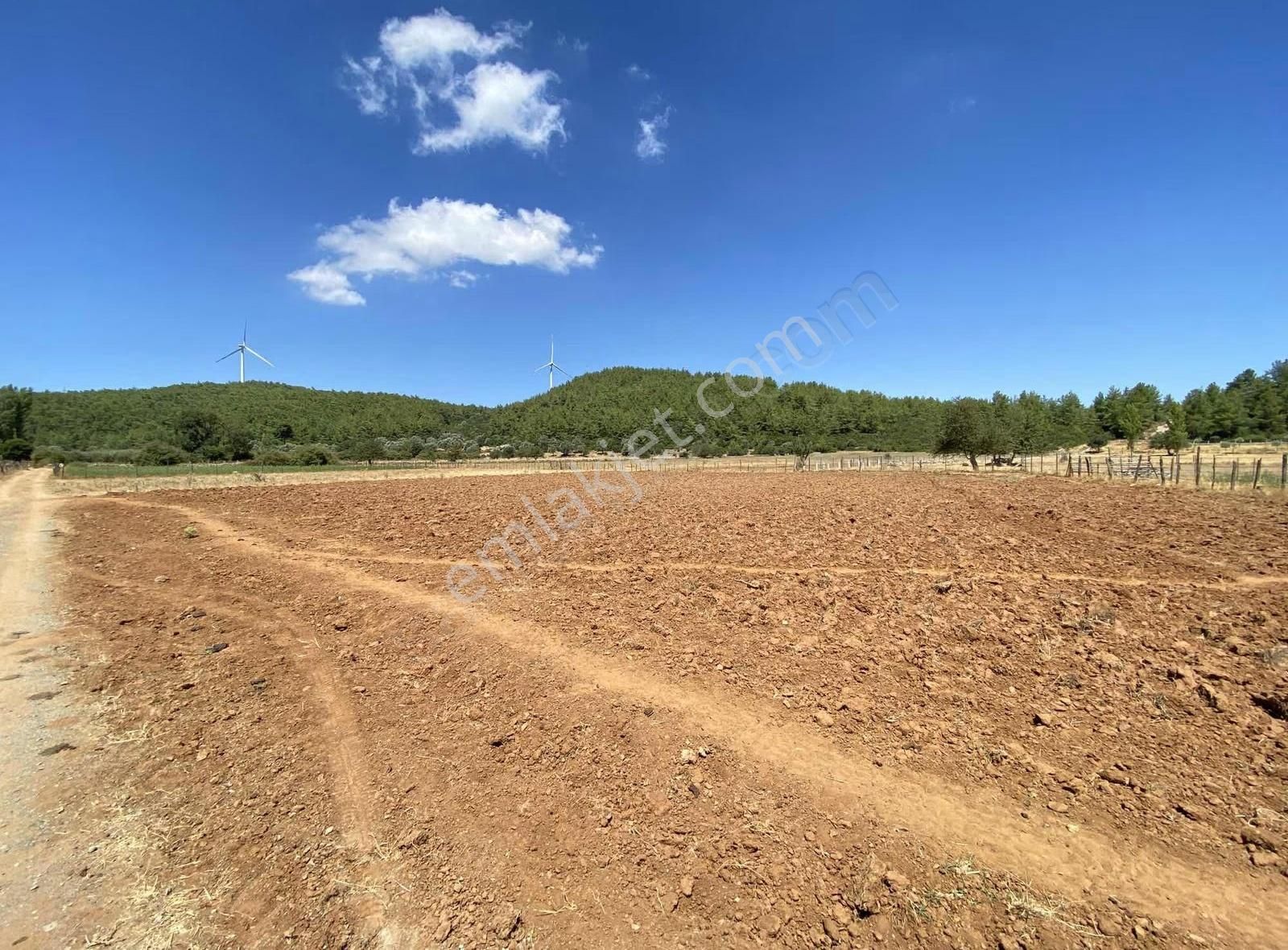 Bodrum Mazı'da Satılık Kadastral Yola 52 Metre Cepheli Tarla - Görsel 4