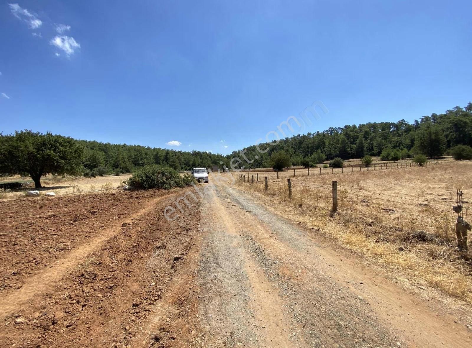 Bodrum Mazı'da Satılık Kadastral Yola 52 Metre Cepheli Tarla - Görsel 2