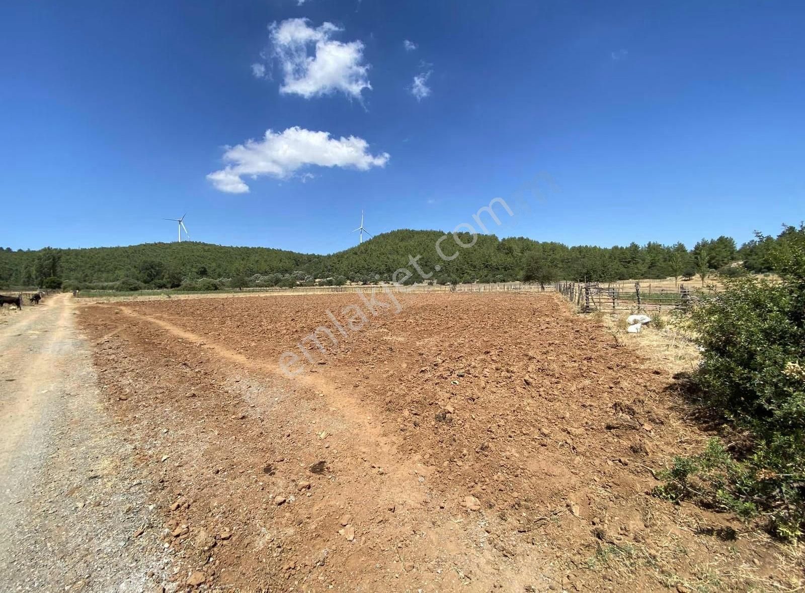 Bodrum Mazı'da Satılık Kadastral Yola 52 Metre Cepheli Tarla