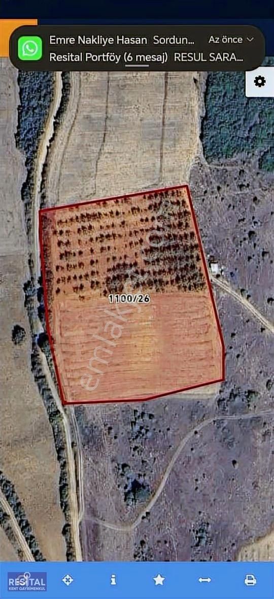 Yenişehir Barcın 12.000m2 Ceviz Bahçesi Ve Tarla - Görsel 7