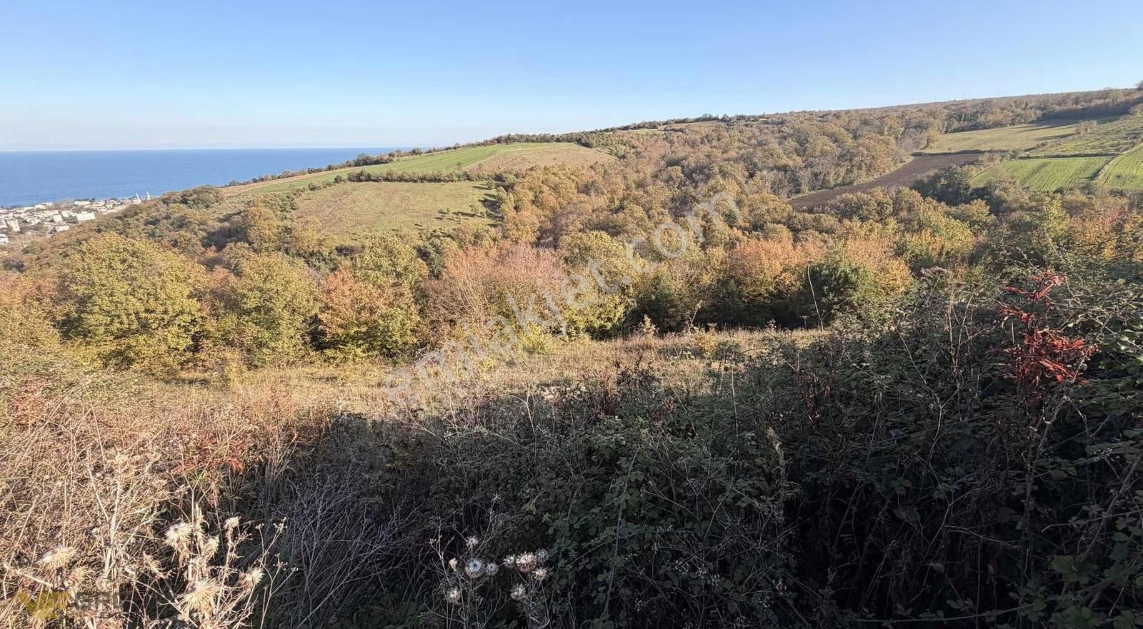 Müstakil Tapulu Deniz Manzaralı Yatırımlık Arsa - Görsel 6