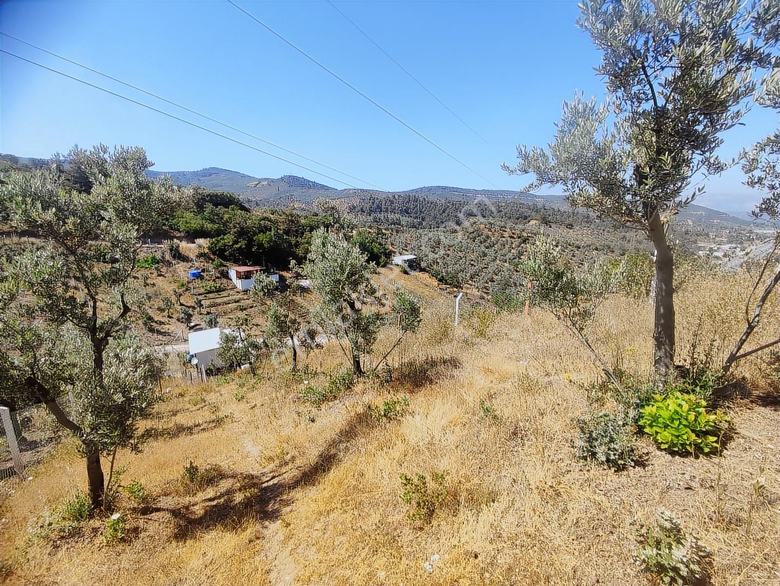 Realty Nexus'dan Gemlik Kurtul'da Fırsat Hobi Bahçesi - Görsel 16