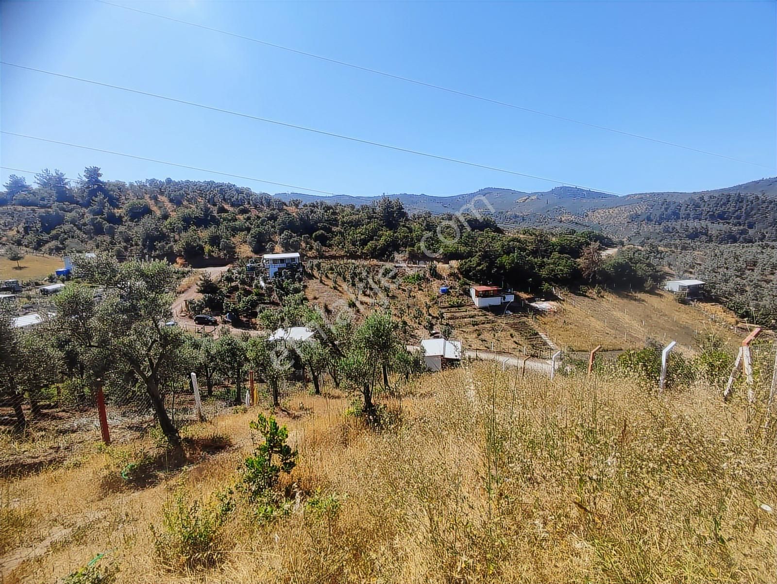 Realty Nexus'dan Gemlik Kurtul'da Fırsat Hobi Bahçesi - Görsel 7