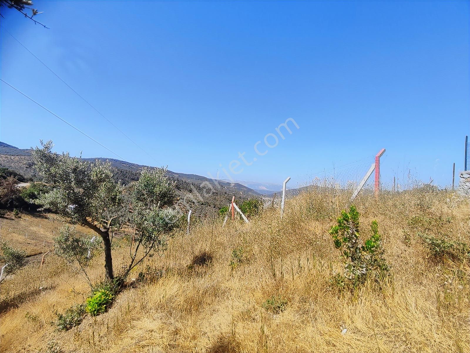 Realty Nexus'dan Gemlik Kurtul'da Fırsat Hobi Bahçesi - Görsel 12