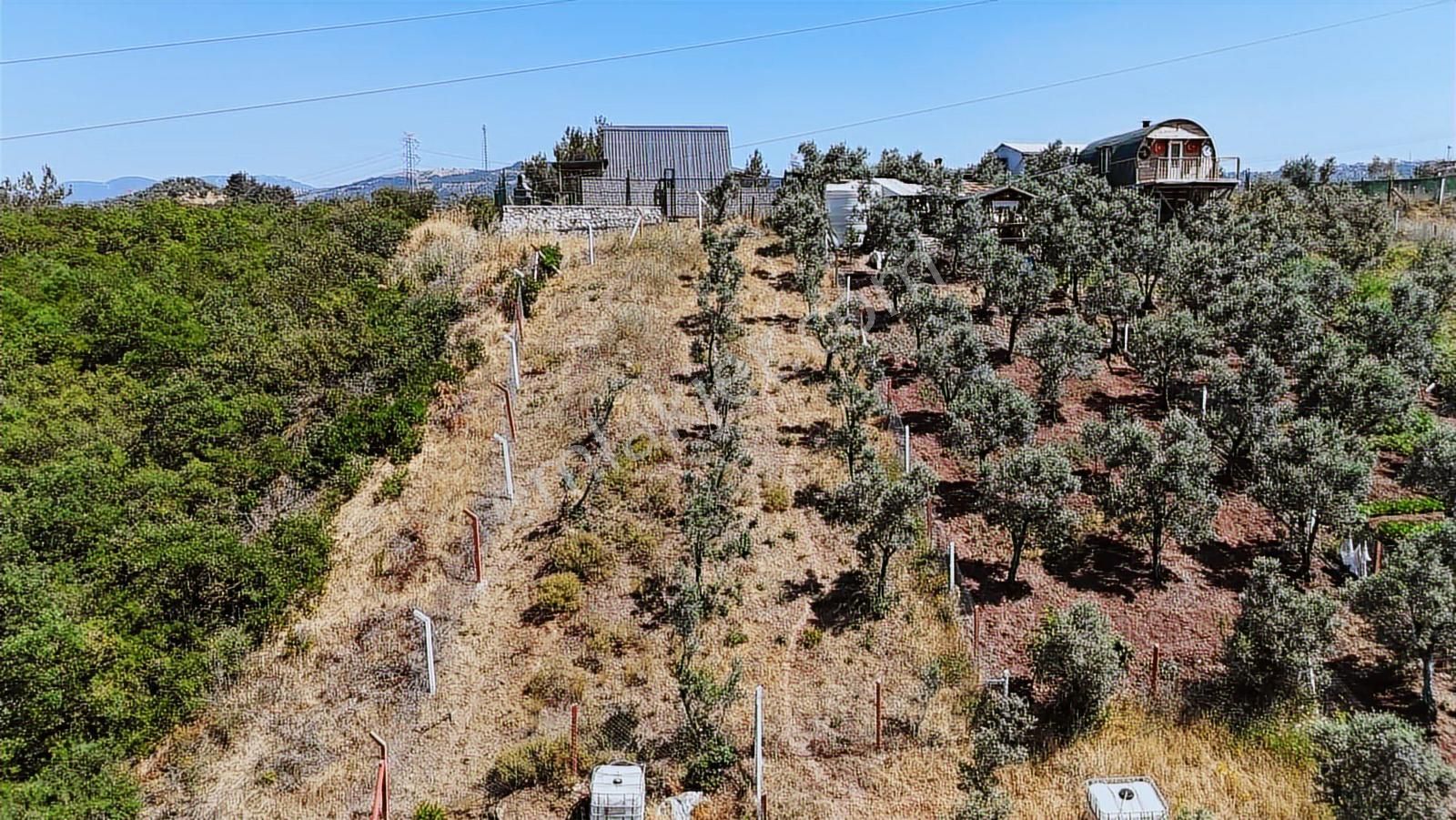 Realty Nexus'dan Gemlik Kurtul'da Fırsat Hobi Bahçesi - Görsel 9