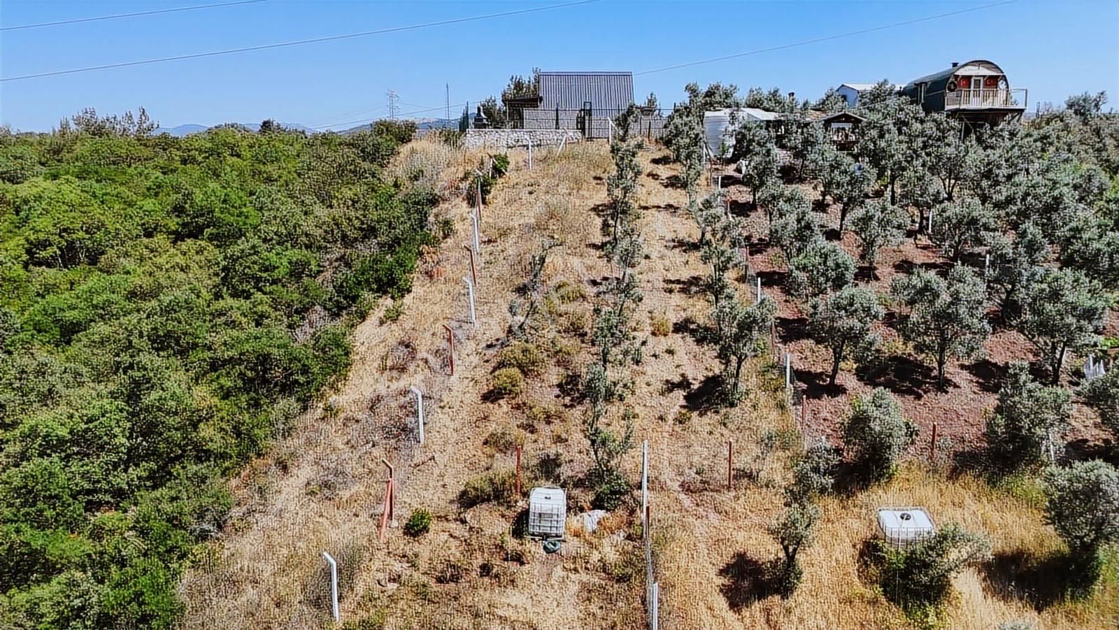 Realty Nexus'dan Gemlik Kurtul'da Fırsat Hobi Bahçesi - Görsel 8