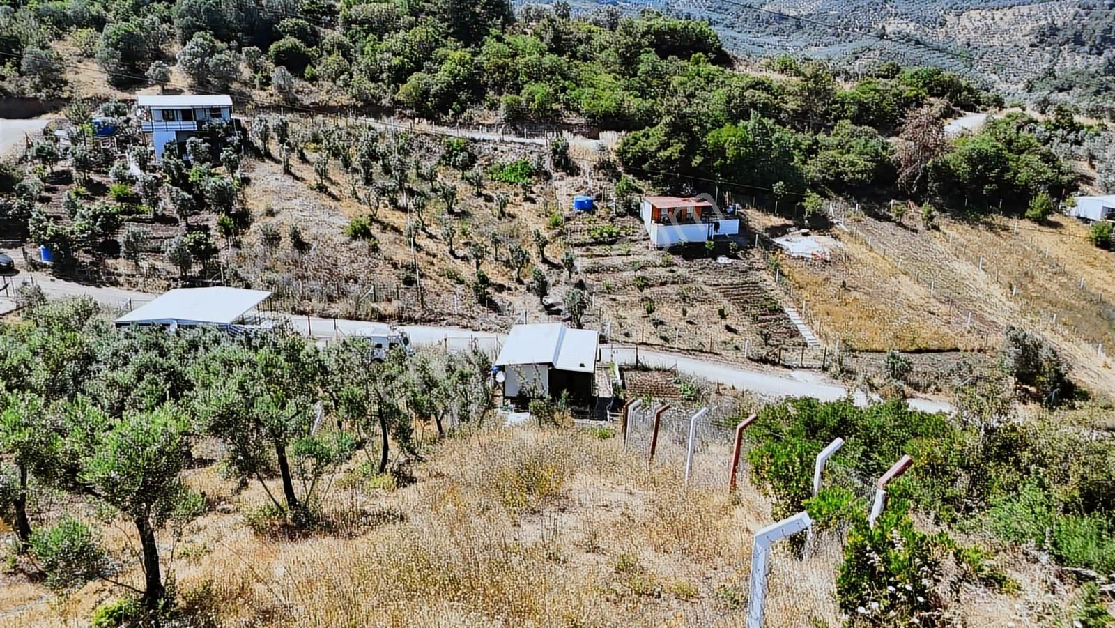Realty Nexus'dan Gemlik Kurtul'da Fırsat Hobi Bahçesi - Görsel 15