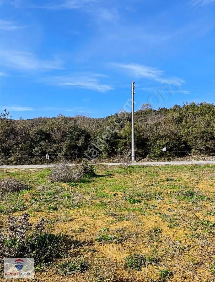 Kandıra Pirceler Köyünde Aslaft Yola Cephe 4661m2 Satılık Tarla