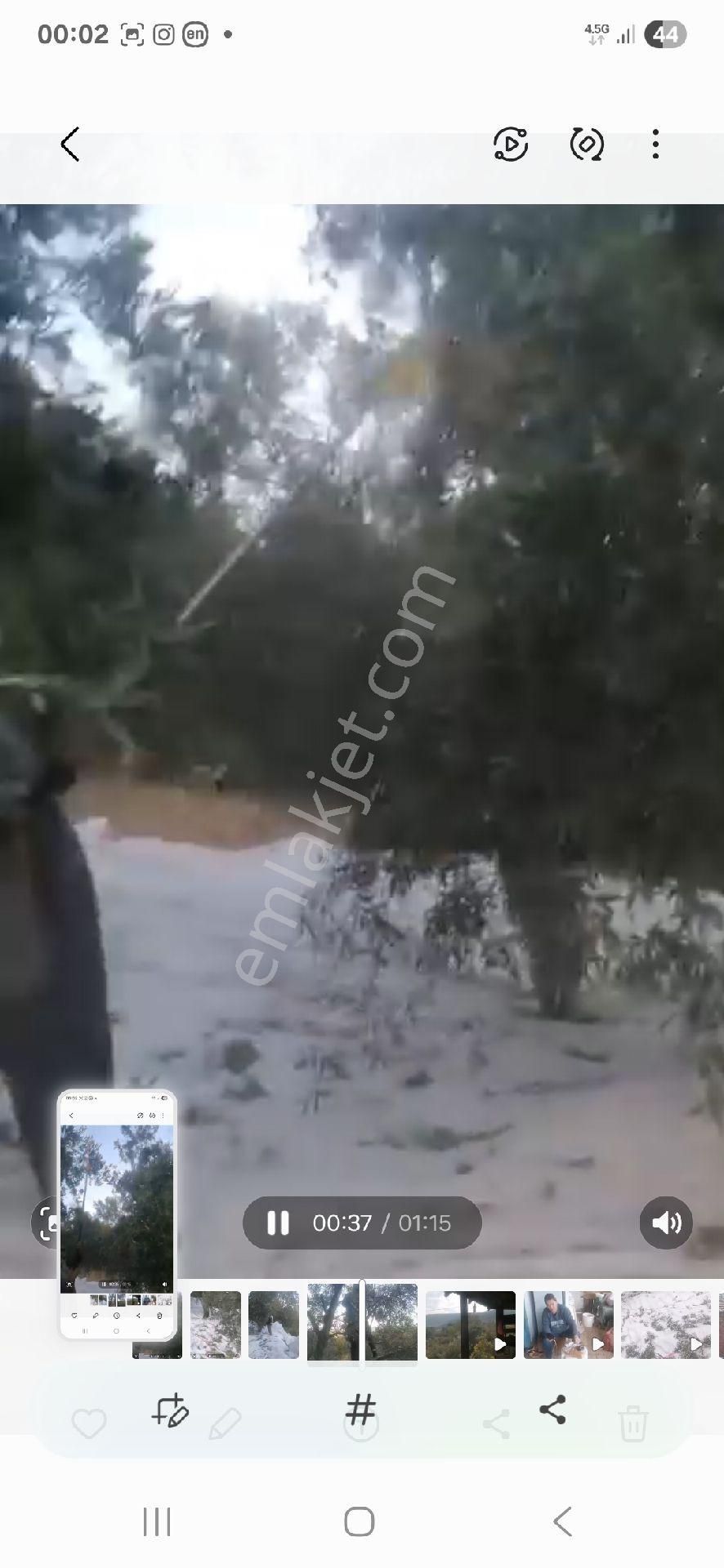 Nehirden Aydın Bozdoğan Körtekede Satılık Zeytinlik Ve Ev - Görsel 8