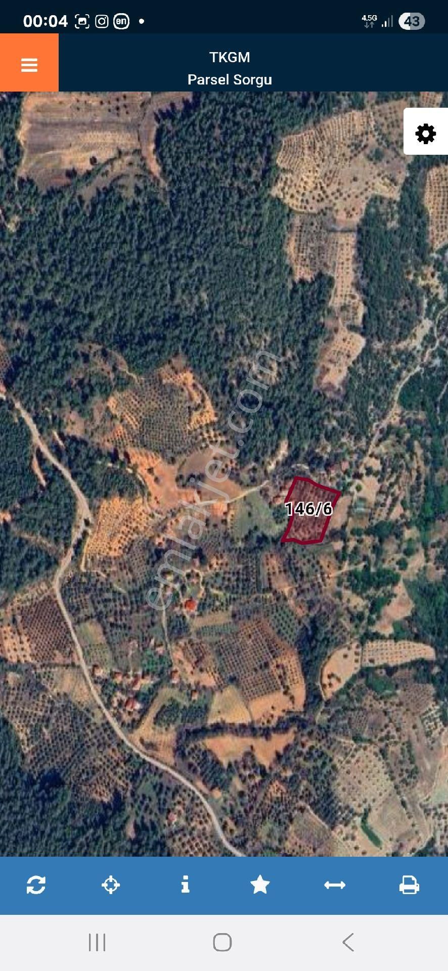 Nehirden Aydın Bozdoğan Körtekede Satılık Zeytinlik Ve Ev - Görsel 14
