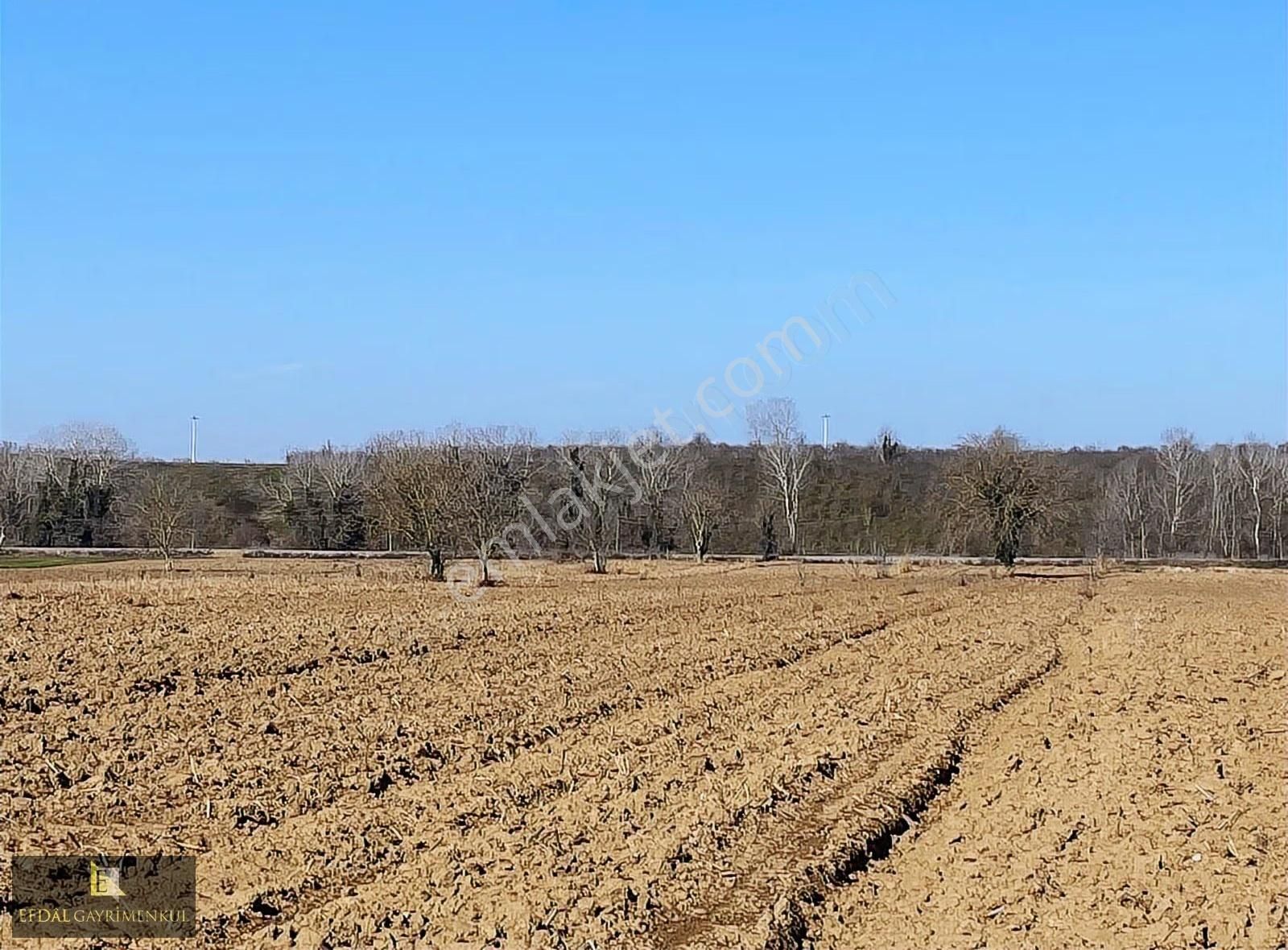 Ferizli Osb. Genişleme Alanında Satılık Parseller - Görsel 4