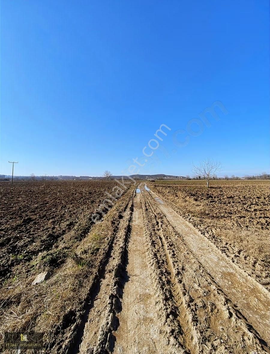 Ferizli Osb. Genişleme Alanında Satılık Parseller - Görsel 7