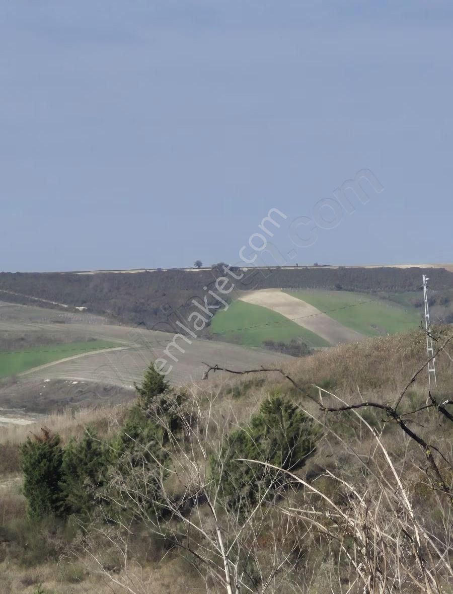 Arnavutköy Dursunköy De Satılık İmarlı Arsa Araç Takasına Açık - Görsel 7