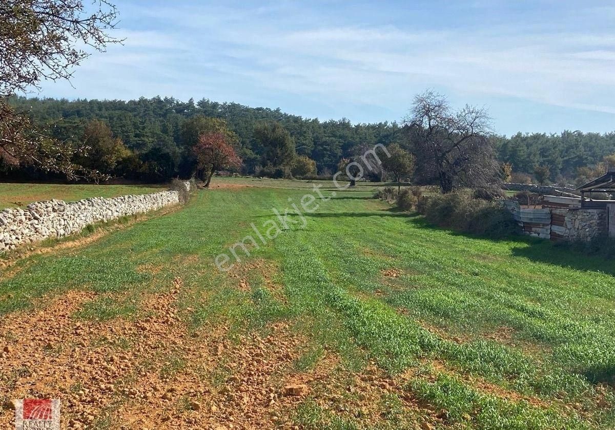 Milas – Fesleğen Köyü’nde Kaçırılmayacak Yatırım Fırsatı!