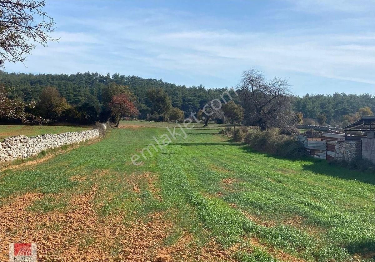 Milas – Fesleğen Köyü’nde Kaçırılmayacak Yatırım Fırsatı! - Görsel 7