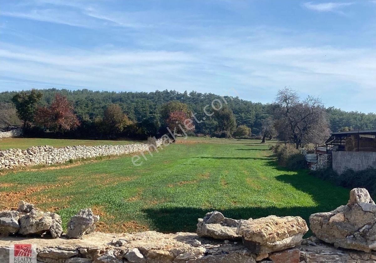 Milas – Fesleğen Köyü’nde Kaçırılmayacak Yatırım Fırsatı! - Görsel 2