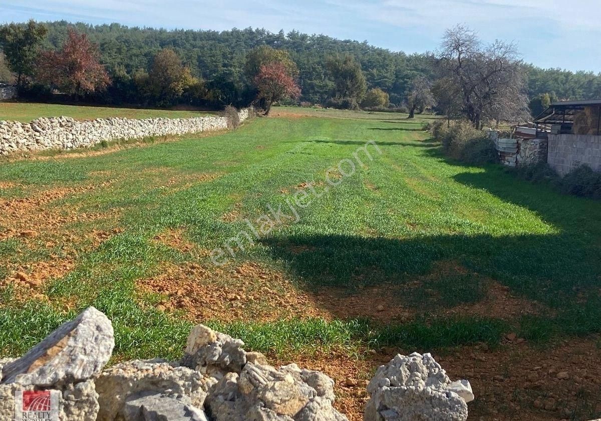 Milas – Fesleğen Köyü’nde Kaçırılmayacak Yatırım Fırsatı! - Görsel 8