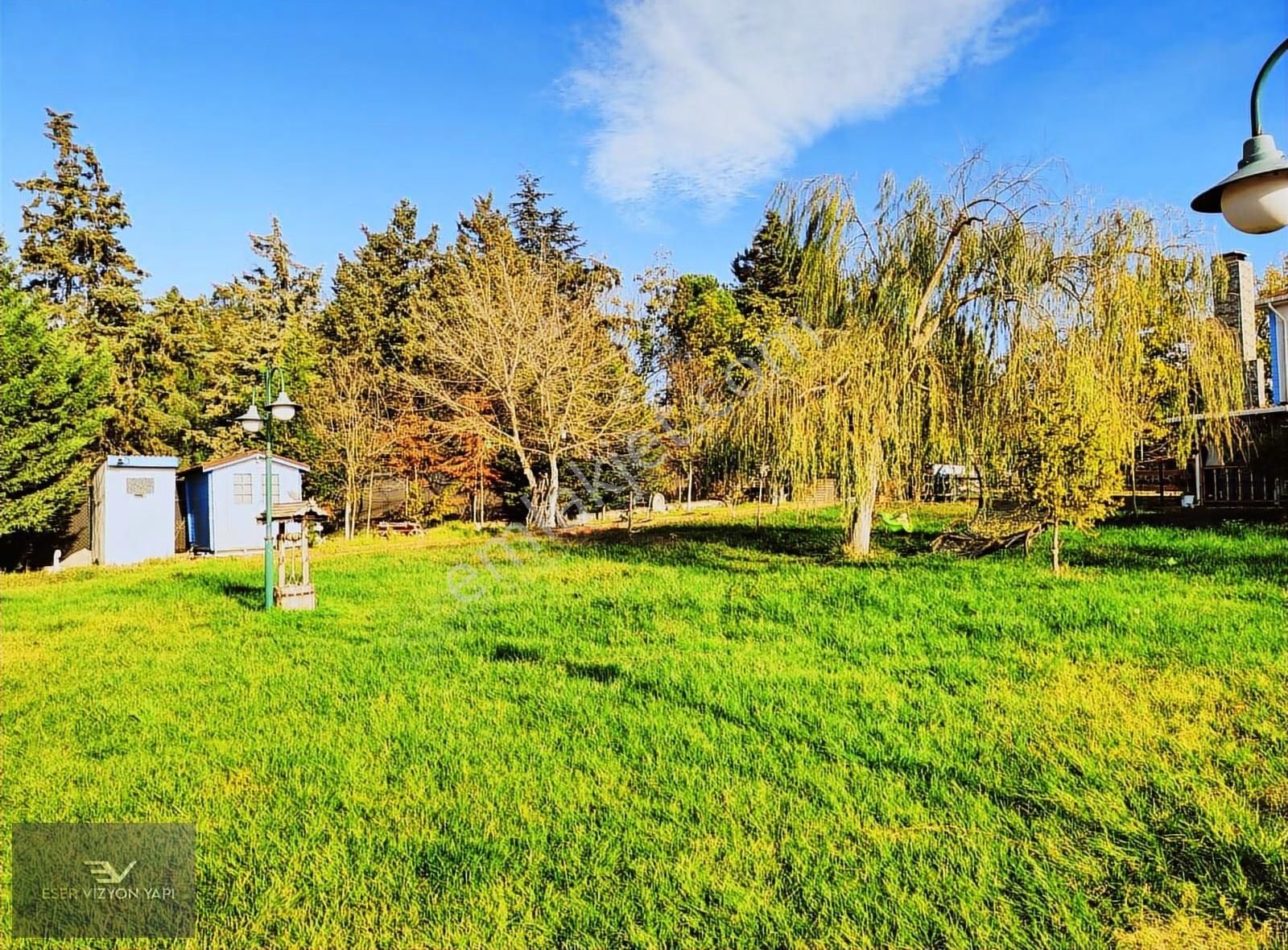 #eser Vizyon# 5872 M2 Üzüm Bağı Meyve Ağaçları Emsalsiz Çiftlik - Görsel 9