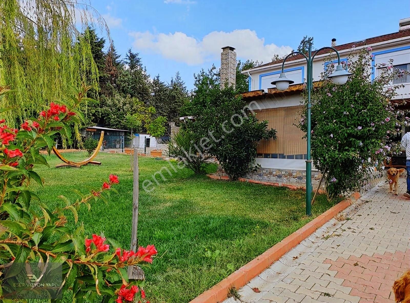 #eser Vizyon# 5872 M2 Üzüm Bağı Meyve Ağaçları Emsalsiz Çiftlik - Görsel 8