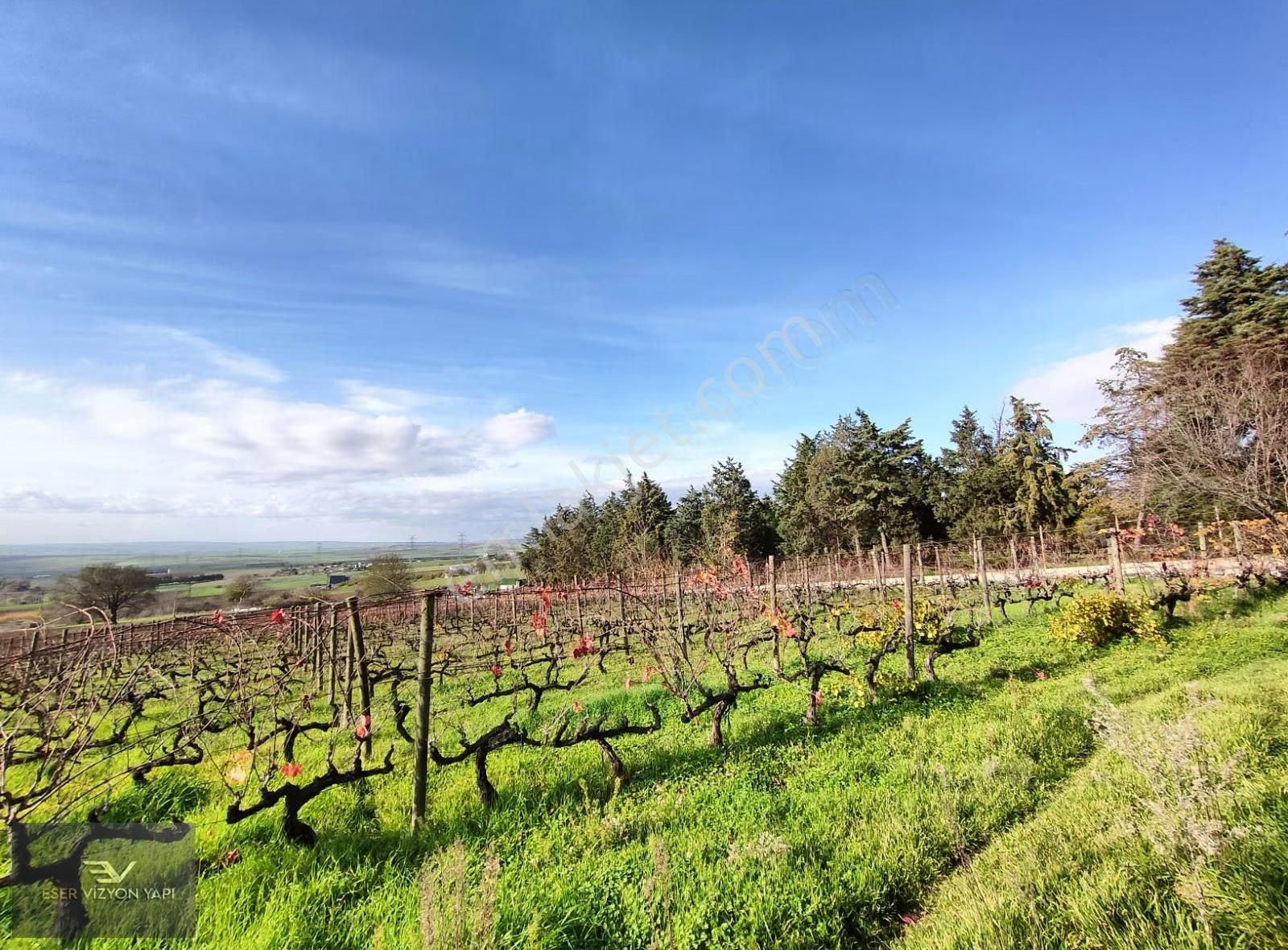 #eser Vizyon# 5872 M2 Üzüm Bağı Meyve Ağaçları Emsalsiz Çiftlik - Görsel 7