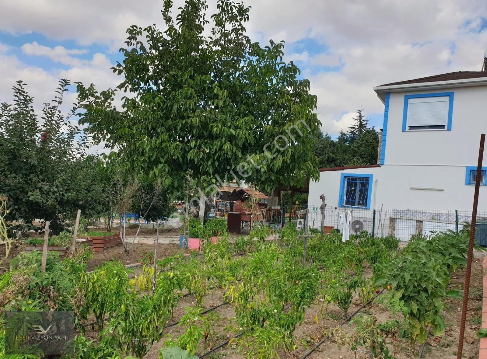 #eser Vizyon# 5872 M2 Üzüm Bağı Meyve Ağaçları Emsalsiz Çiftlik - Görsel 26