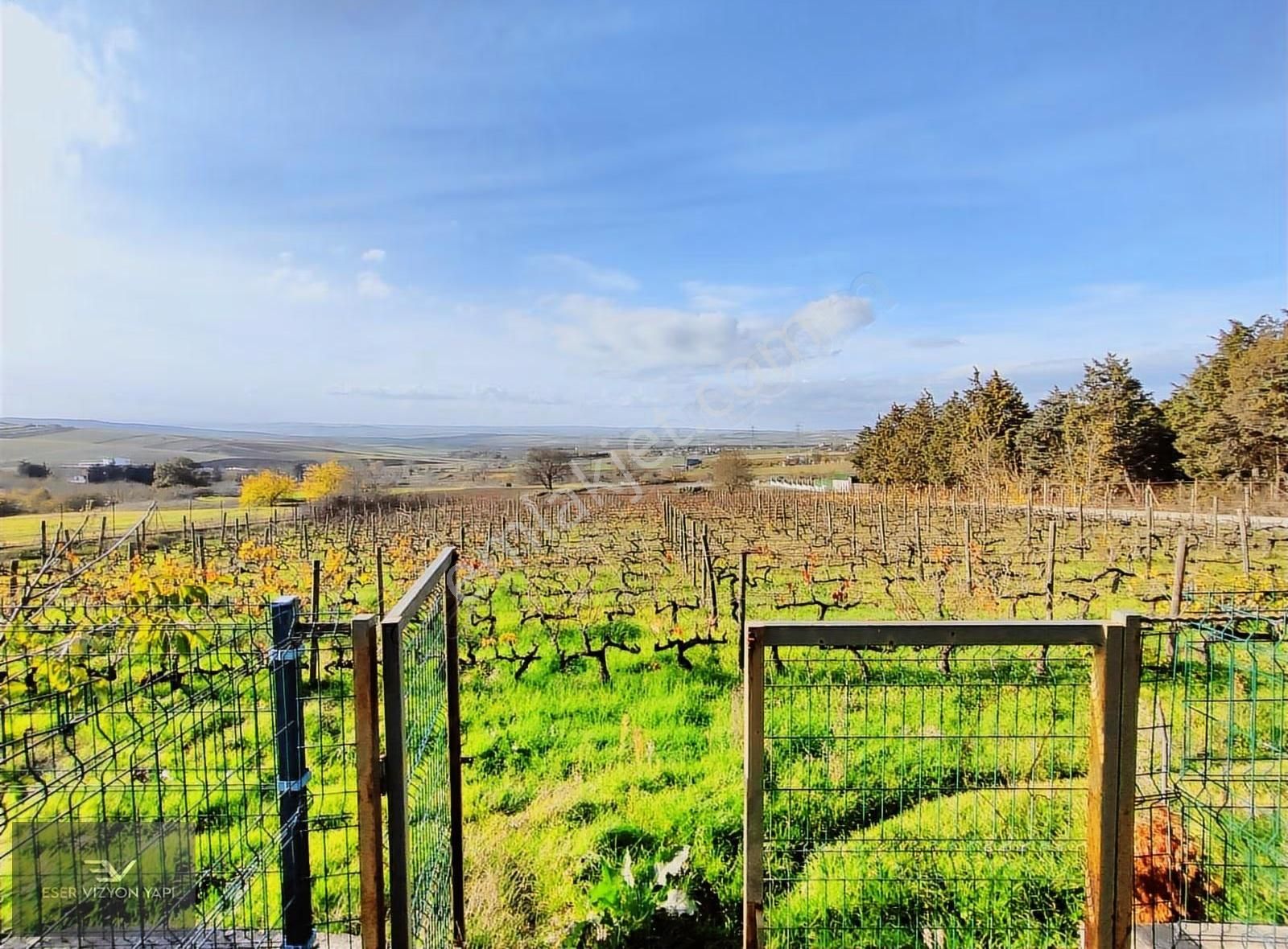 #eser Vizyon# 5872 M2 Üzüm Bağı Meyve Ağaçları Emsalsiz Çiftlik - Görsel 25