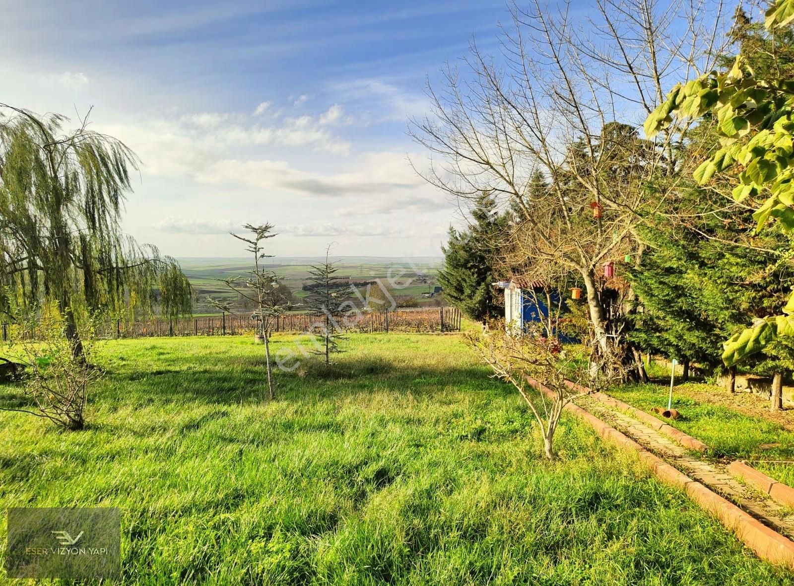 #eser Vizyon# 5872 M2 Üzüm Bağı Meyve Ağaçları Emsalsiz Çiftlik - Görsel 4