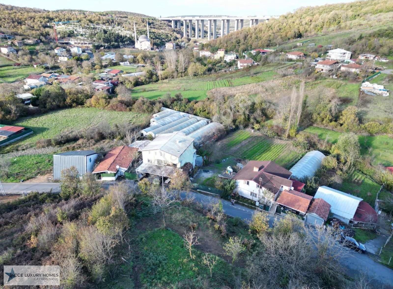 Beykoz Paşamandırada 677 M² Müstakil Parsel Yatırımlık Arsa - Görsel 3