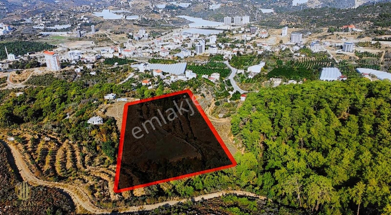 Satılık 19 Dönüm Deniz Manzaralı İmar Sınırında Emsalsiz Tarla - Görsel 30