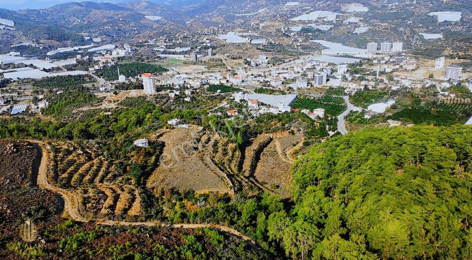 Satılık 19 Dönüm Deniz Manzaralı İmar Sınırında Emsalsiz Tarla - Görsel 5