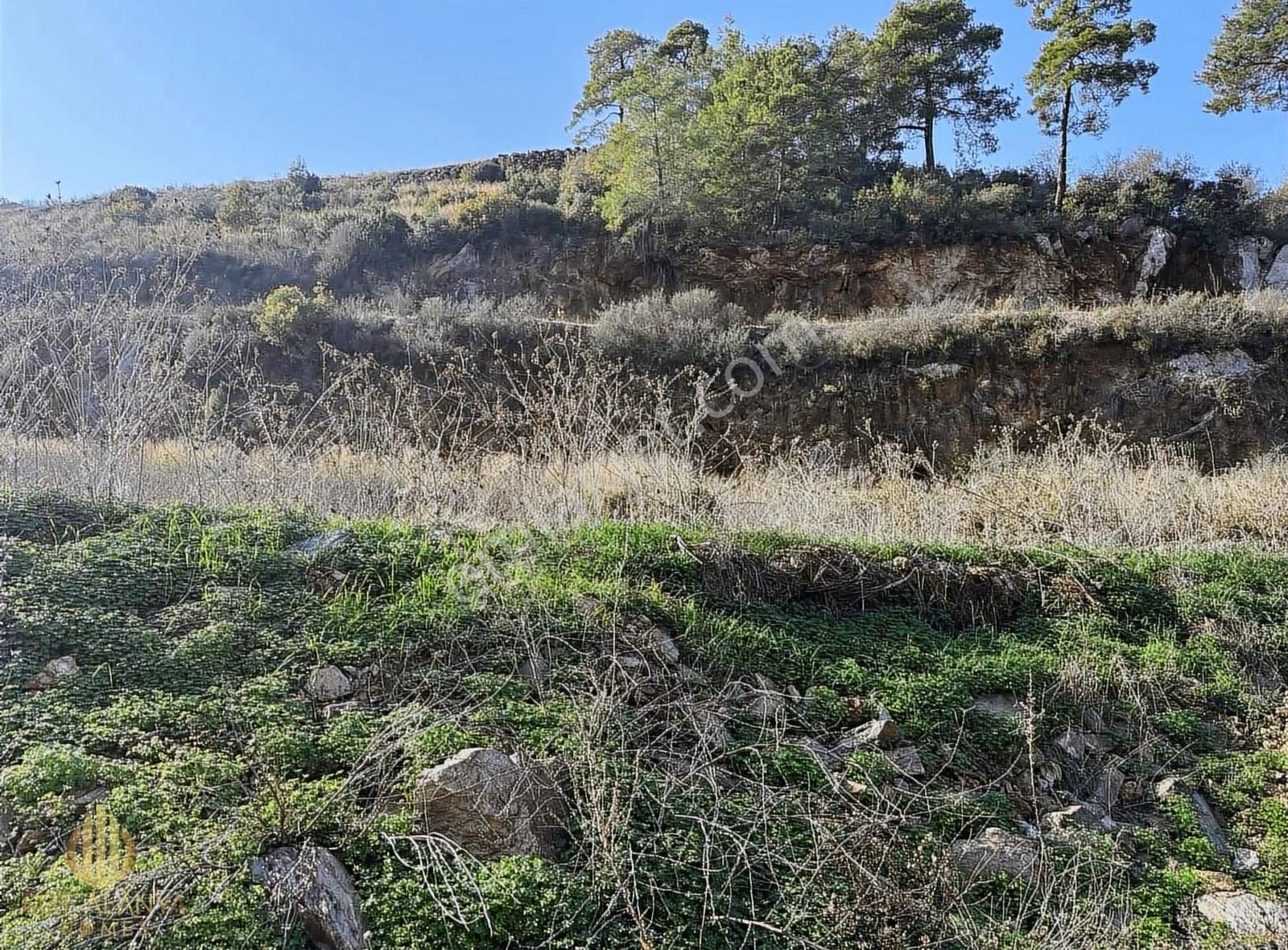 Satılık 19 Dönüm Deniz Manzaralı İmar Sınırında Emsalsiz Tarla - Görsel 22