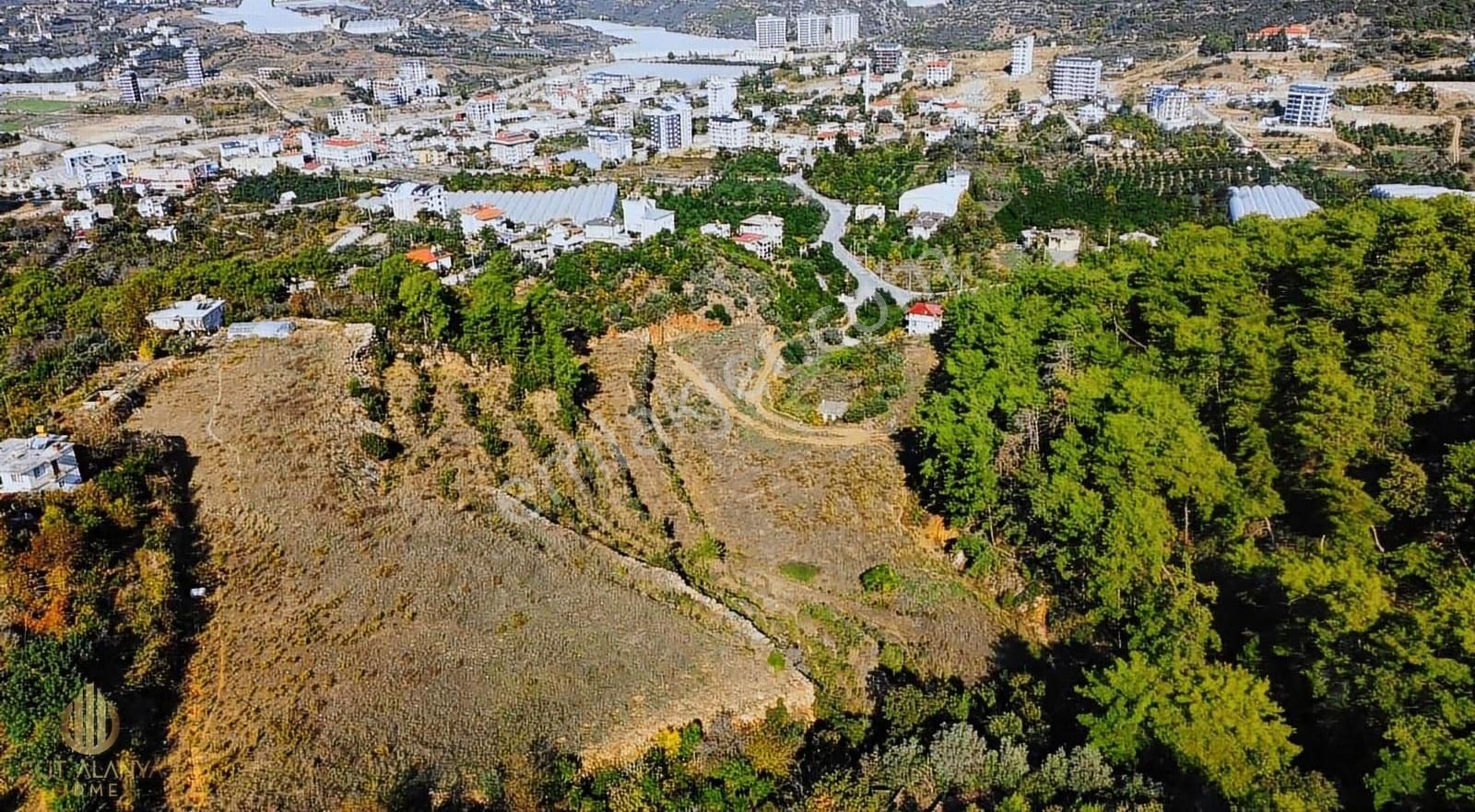 Satılık 19 Dönüm Deniz Manzaralı İmar Sınırında Emsalsiz Tarla - Görsel 29