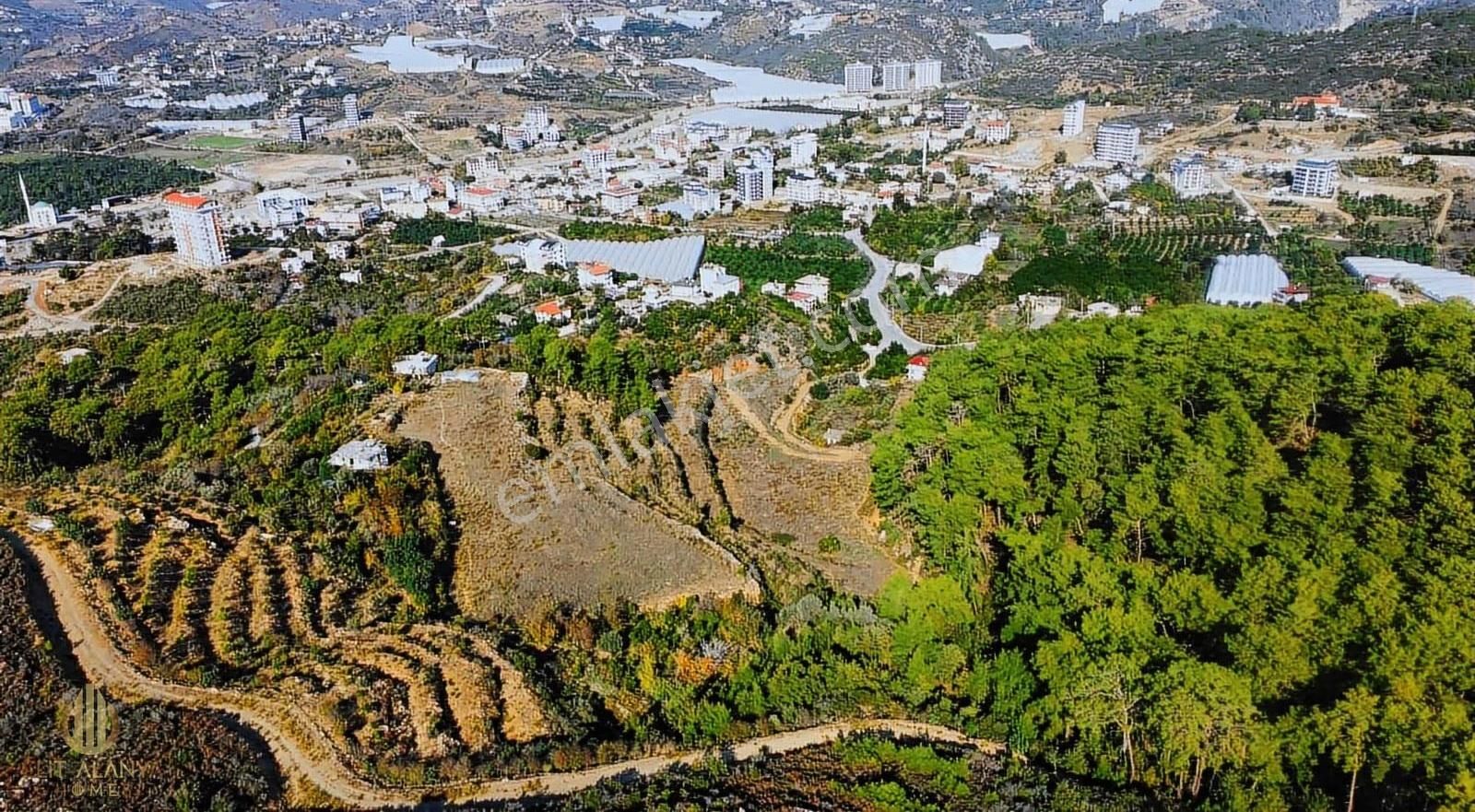 Satılık 19 Dönüm Deniz Manzaralı İmar Sınırında Emsalsiz Tarla - Görsel 3