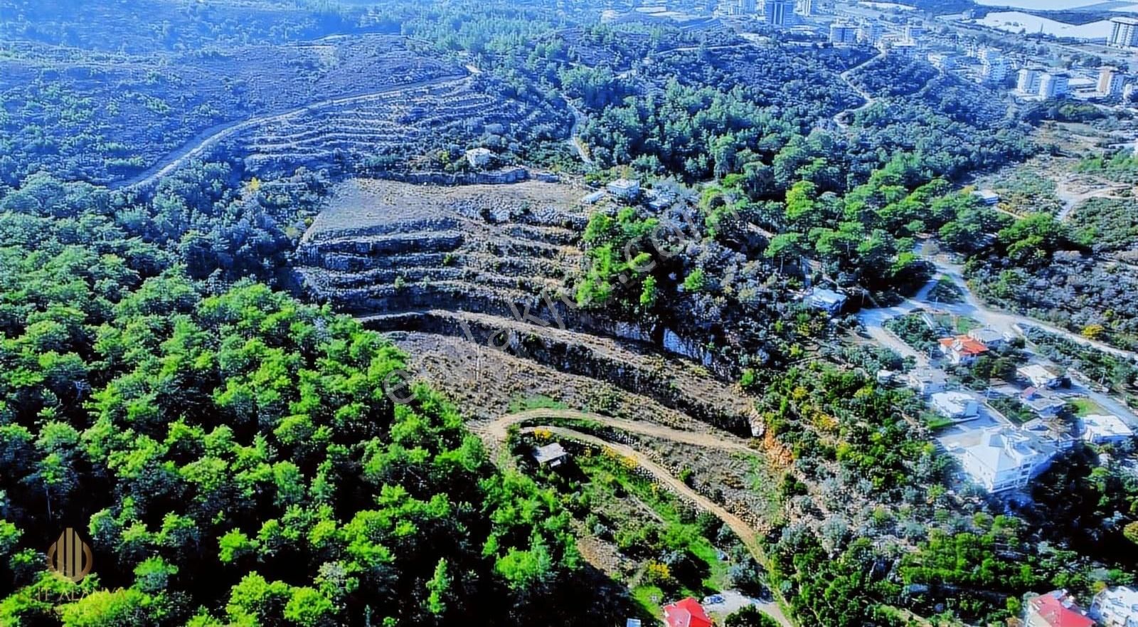 Satılık 19 Dönüm Deniz Manzaralı İmar Sınırında Emsalsiz Tarla - Görsel 20