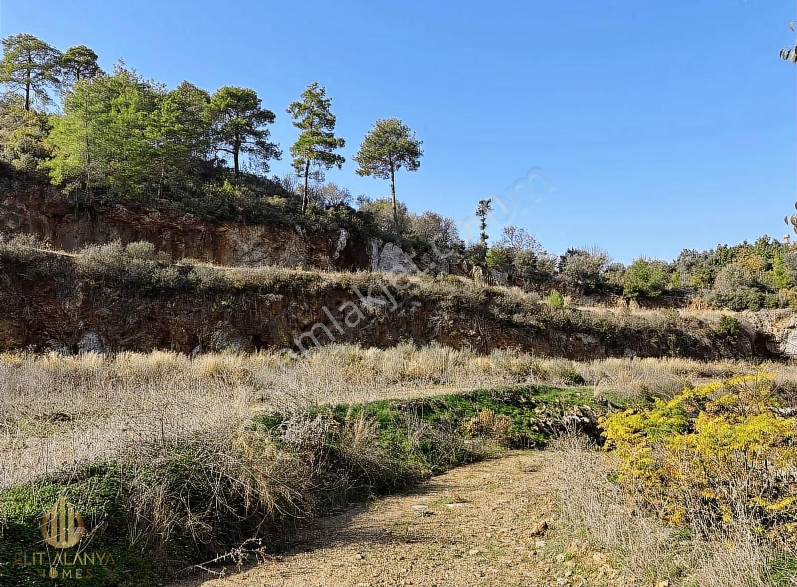 Satılık 19 Dönüm Deniz Manzaralı İmar Sınırında Emsalsiz Tarla - Görsel 4