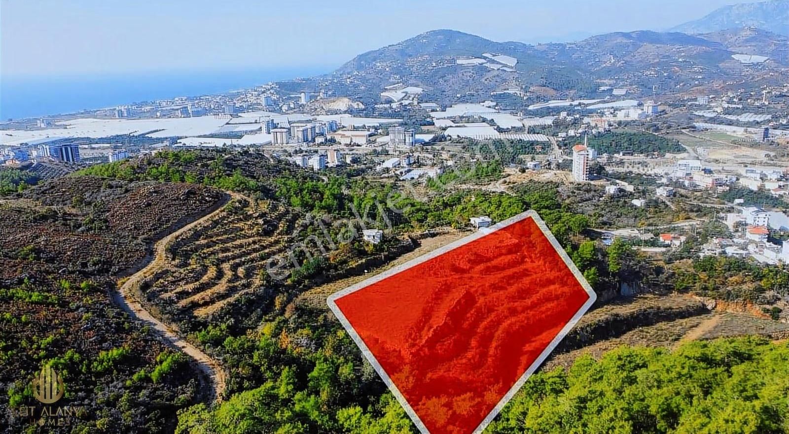 Satılık 19 Dönüm Deniz Manzaralı İmar Sınırında Emsalsiz Tarla - Görsel 9