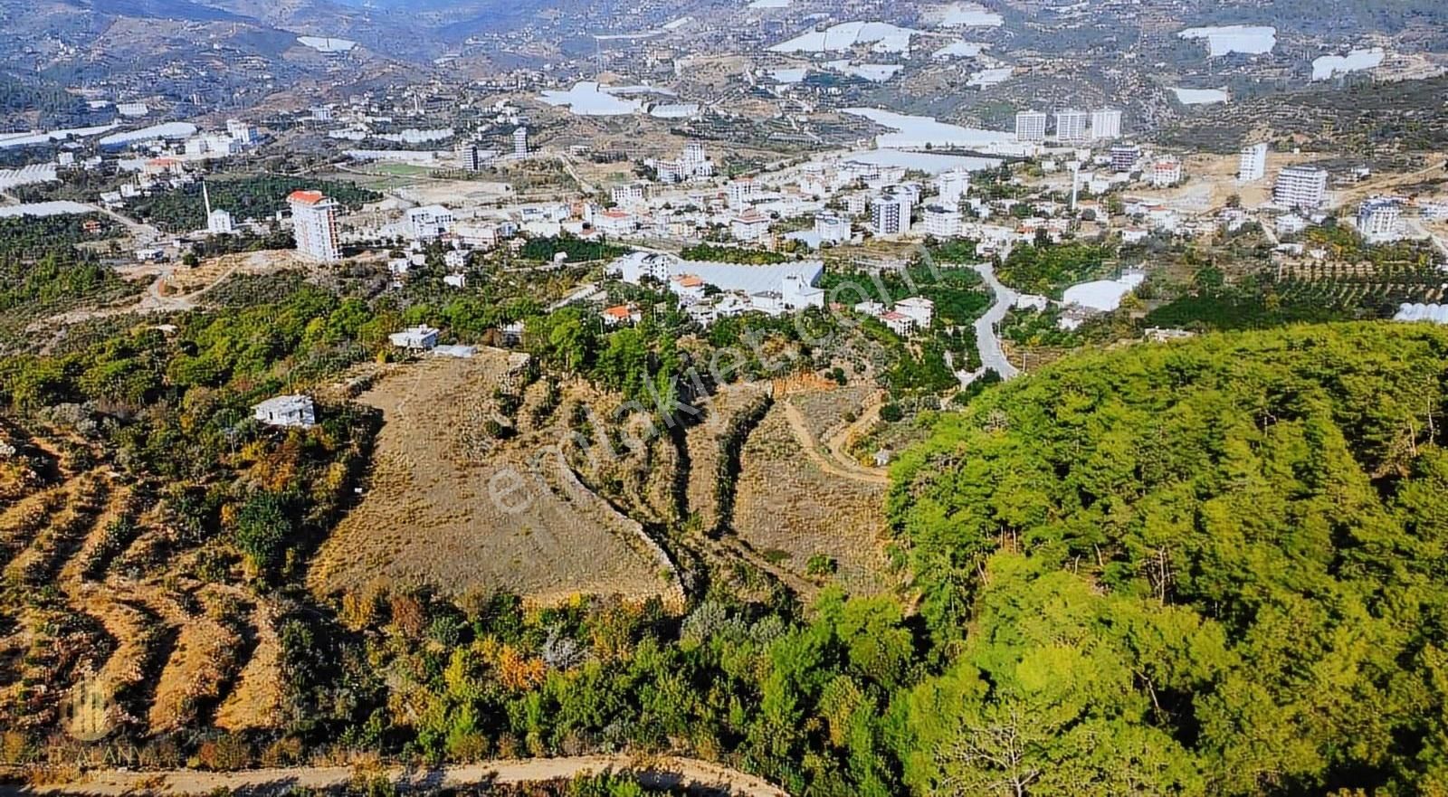 Satılık 19 Dönüm Deniz Manzaralı İmar Sınırında Emsalsiz Tarla - Görsel 6