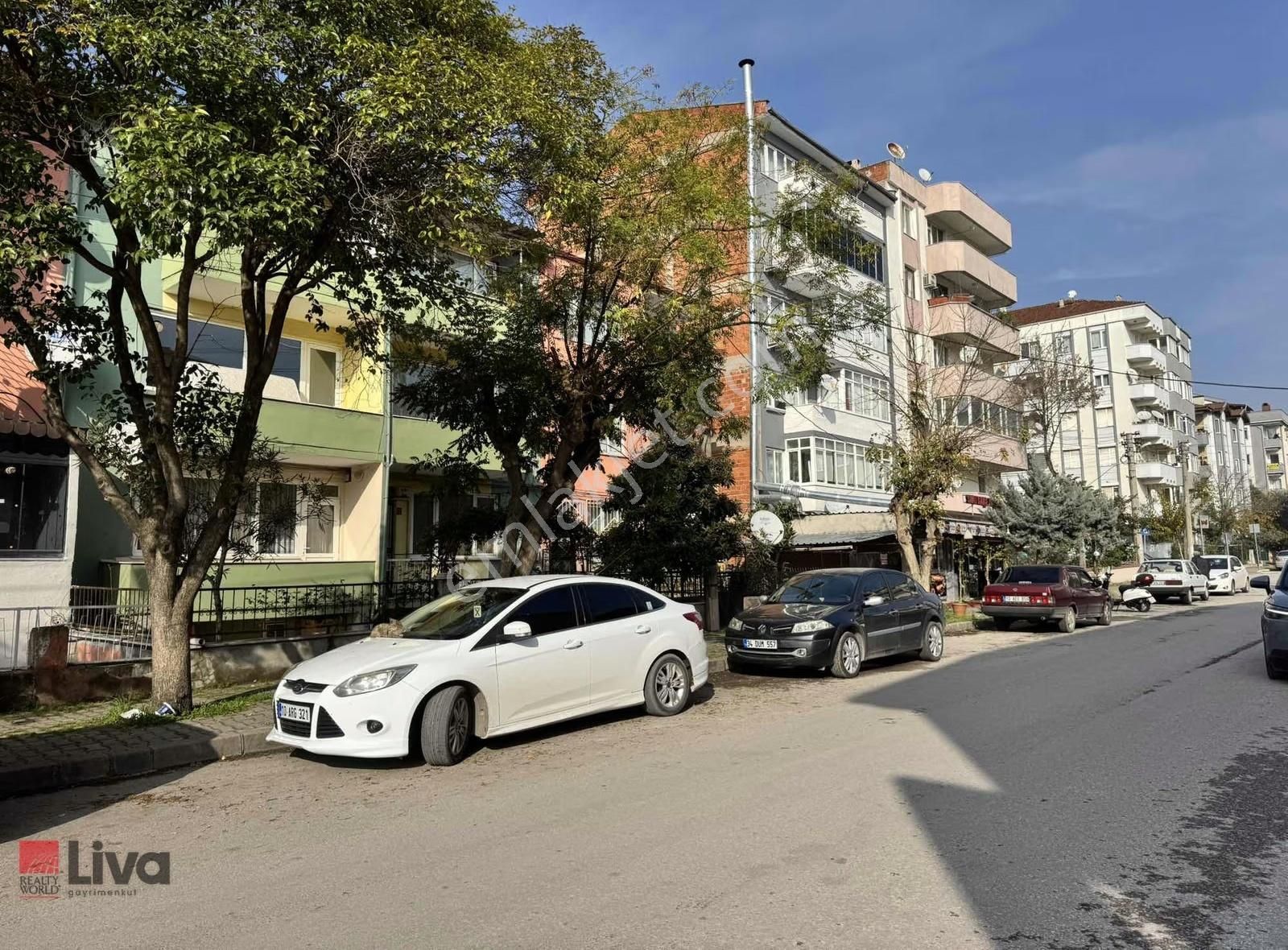 ▓liva Dan Çarşamba Pazarı Ekmek Fırını Tam Karşısı Arakat 2+1▓ - Görsel 21