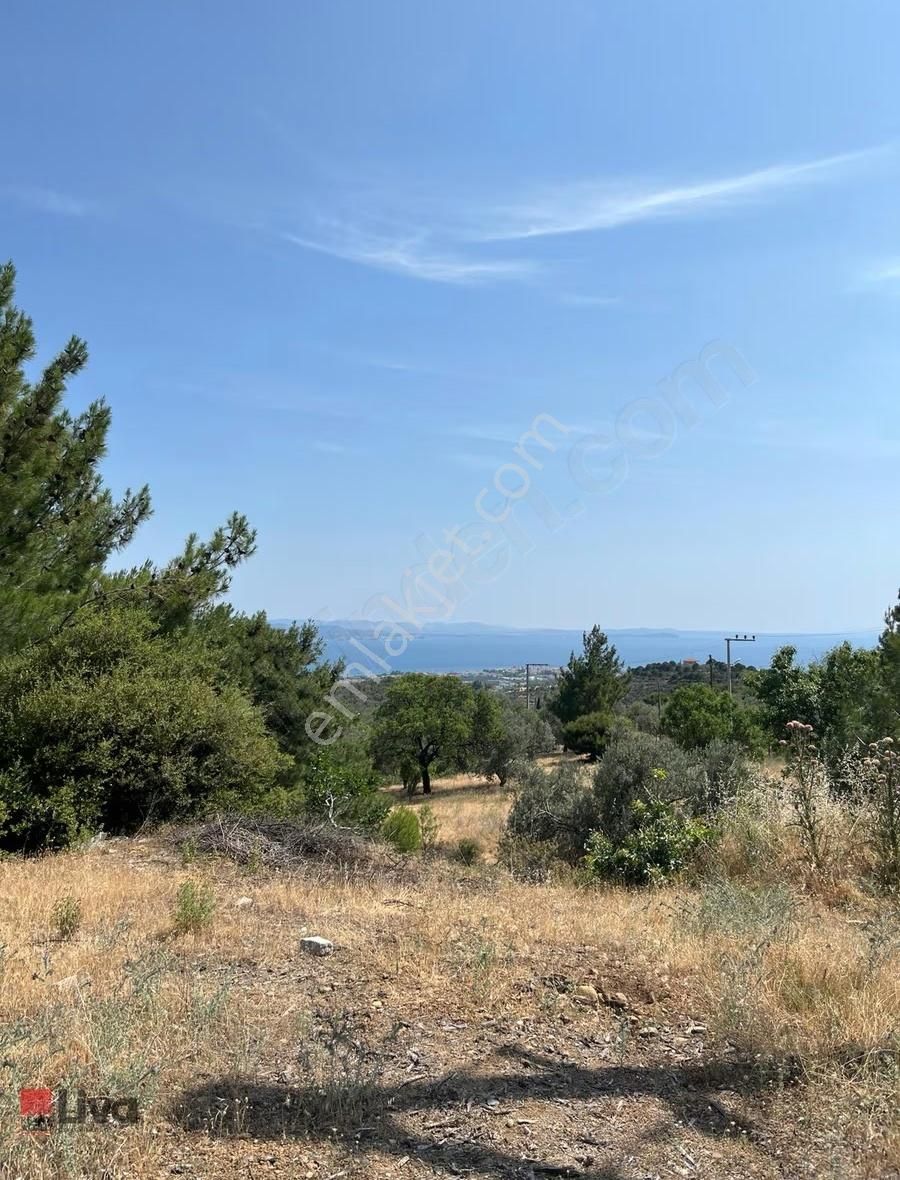 Rw Liva'dan Edremit Kavlaklarda Satılık 4.824 M² Zeytinlik - Görsel 9