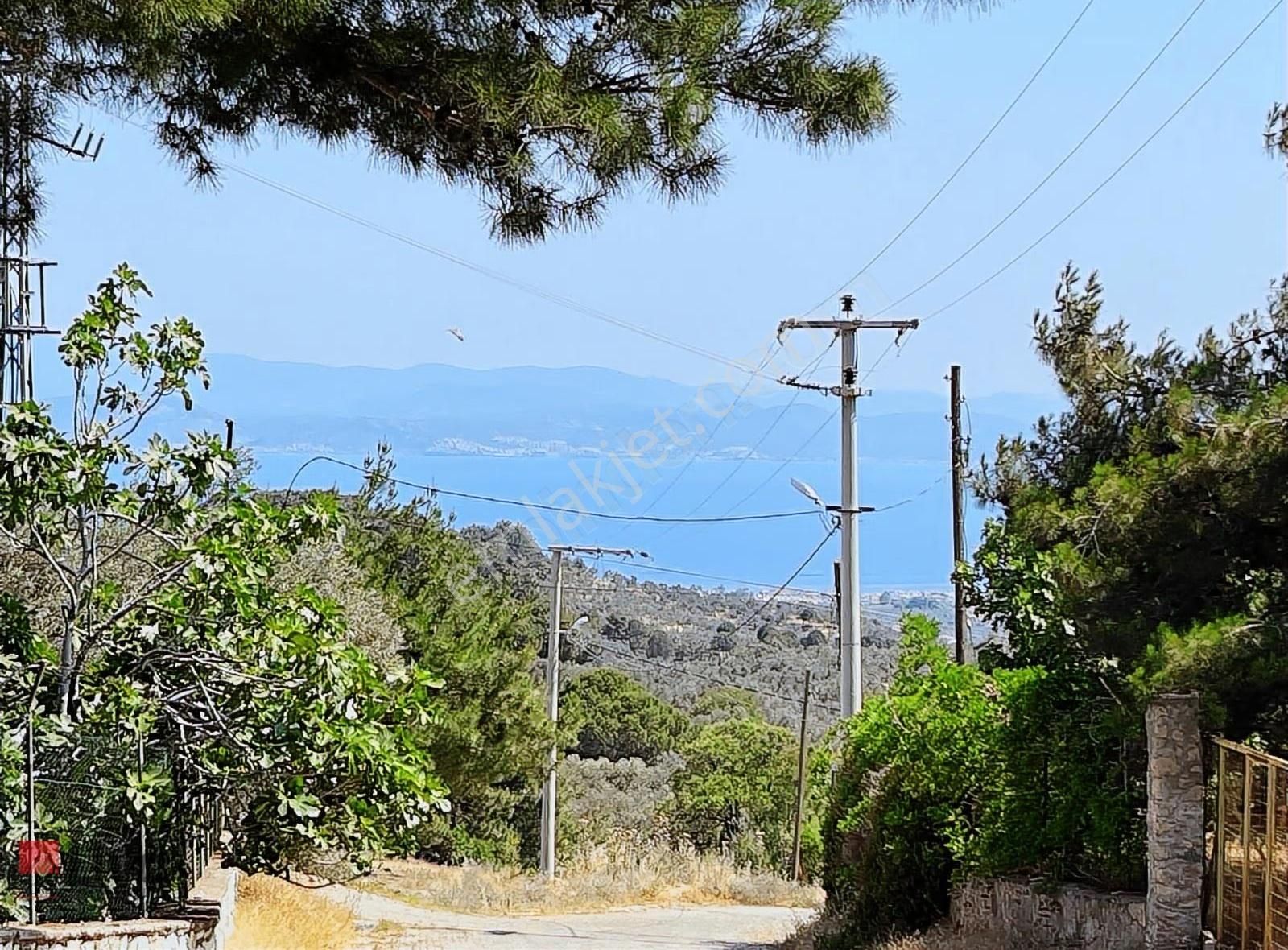 Rw Liva'dan Edremit Kavlaklarda Satılık 4.824 M² Zeytinlik - Görsel 7