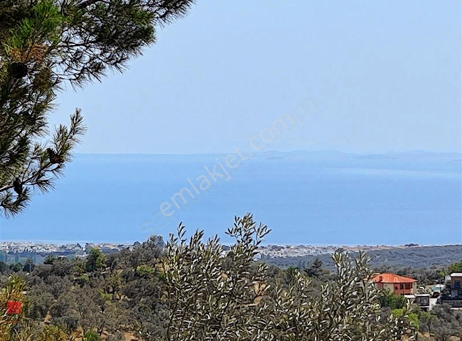 Rw Liva'dan Edremit Kavlaklarda Satılık 4.824 M² Zeytinlik
