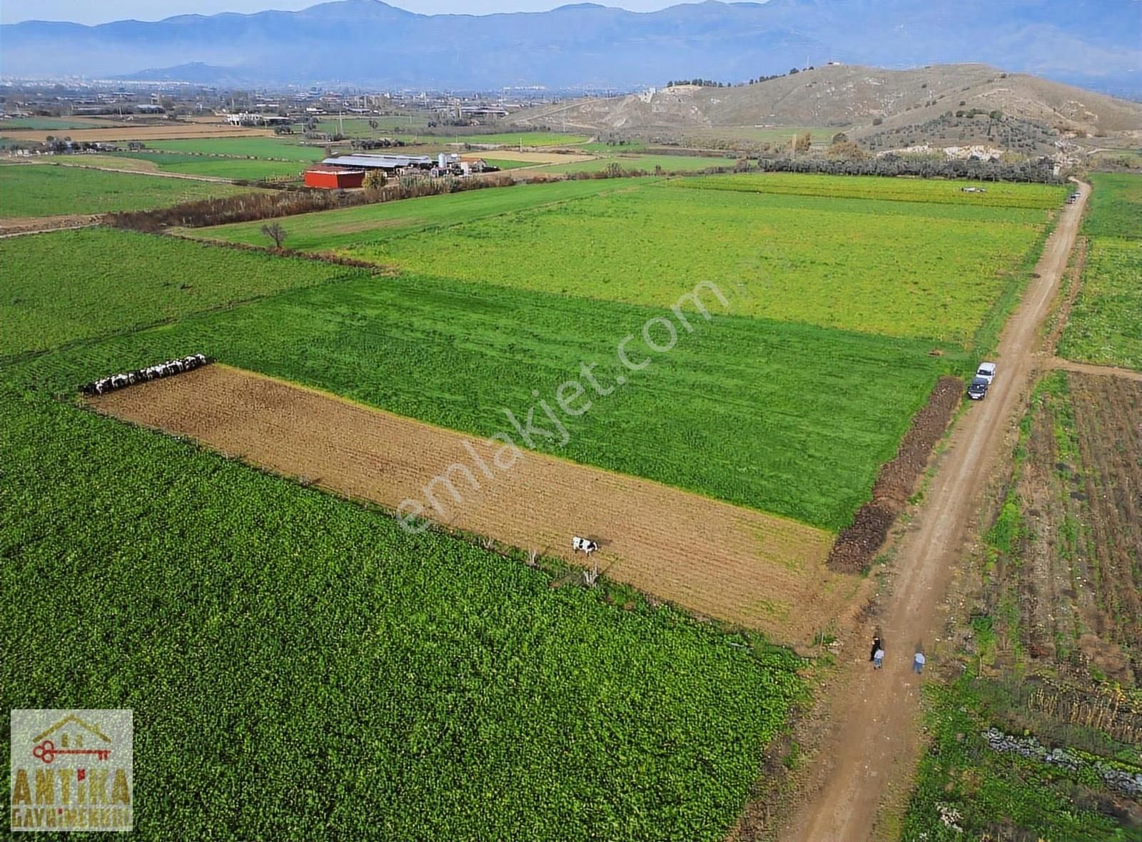 Antika Gayrimenkulden Yölüstü Mahallesinde Satılık 7663 M² Tarla - Görsel 17