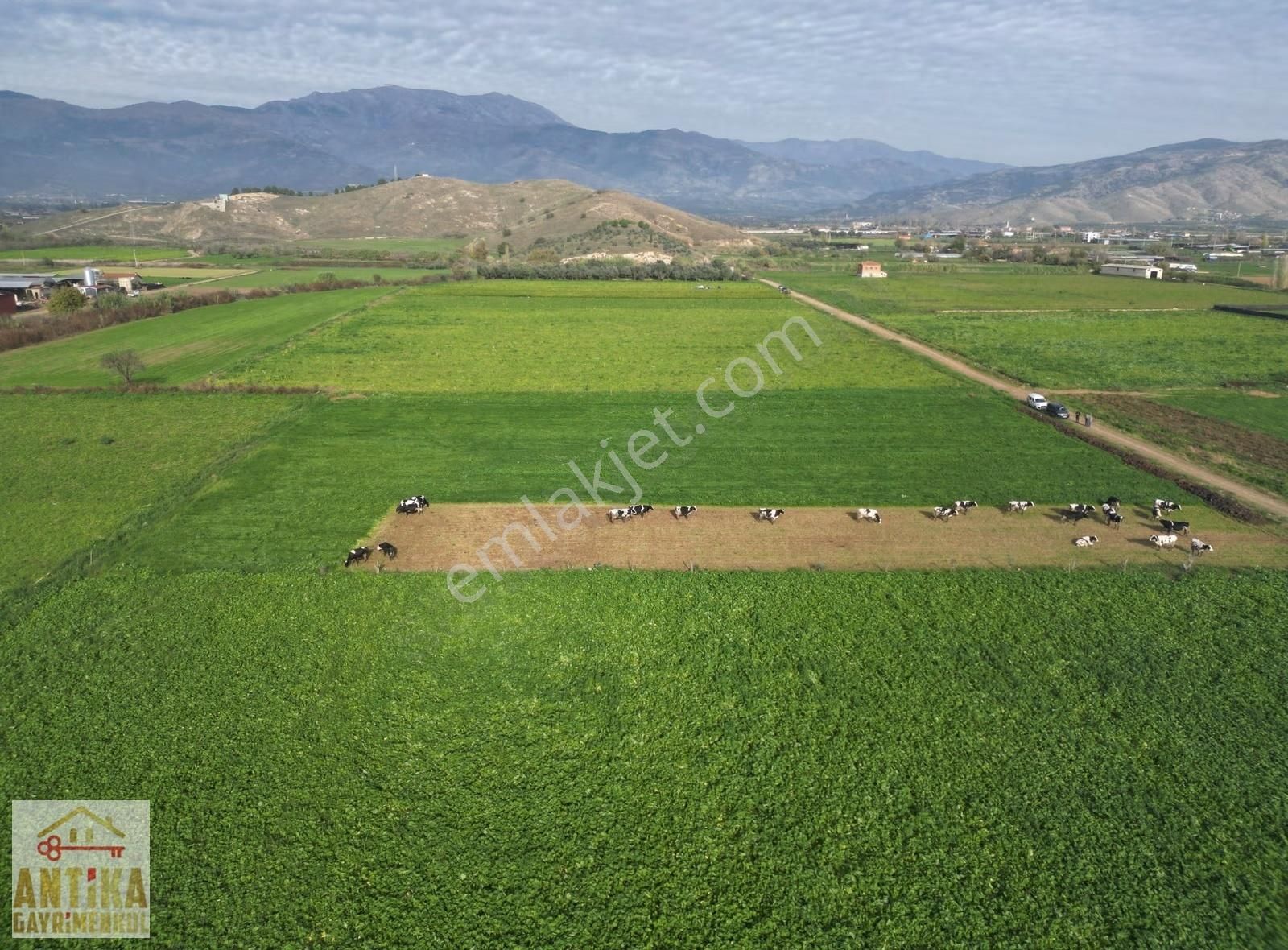 Antika Gayrimenkulden Yölüstü Mahallesinde Satılık 7663 M² Tarla - Görsel 14