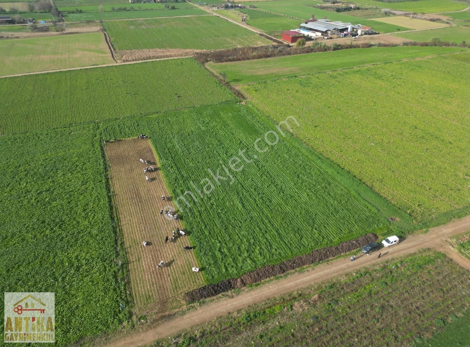 Antika Gayrimenkulden Yölüstü Mahallesinde Satılık 7663 M² Tarla - Görsel 10