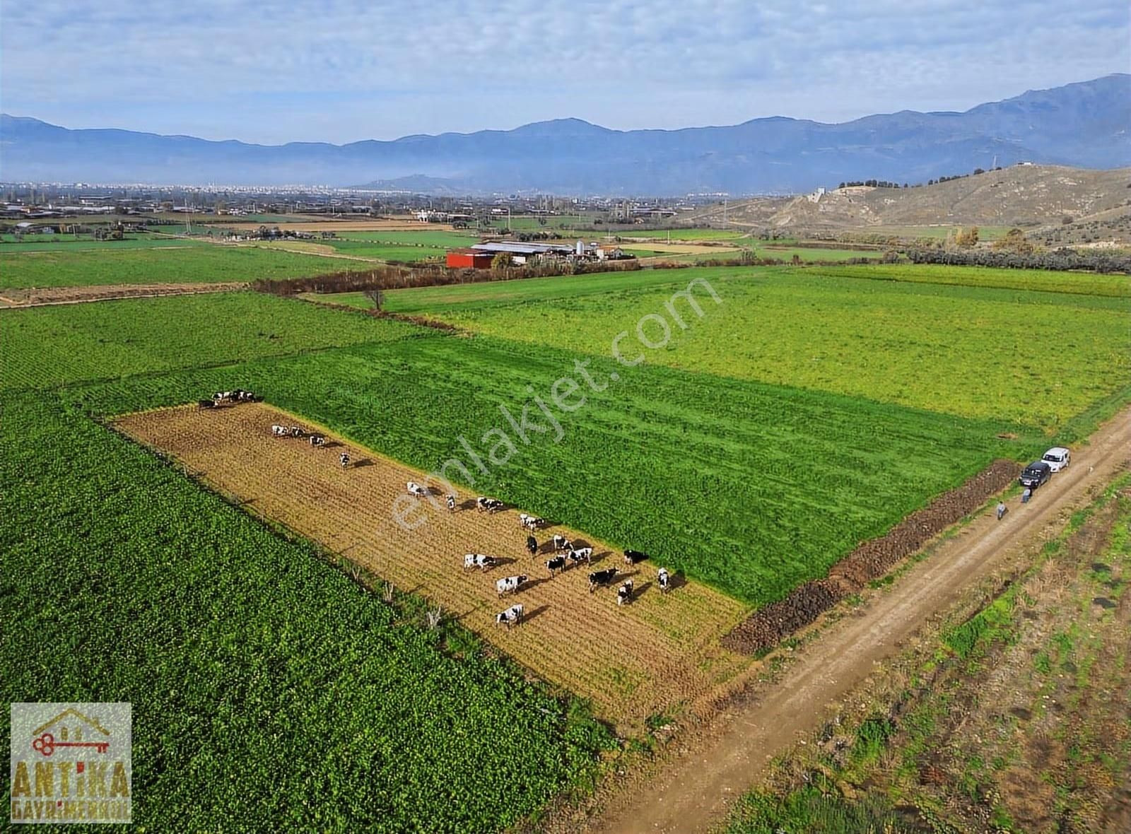 Antika Gayrimenkulden Yölüstü Mahallesinde Satılık 7663 M² Tarla