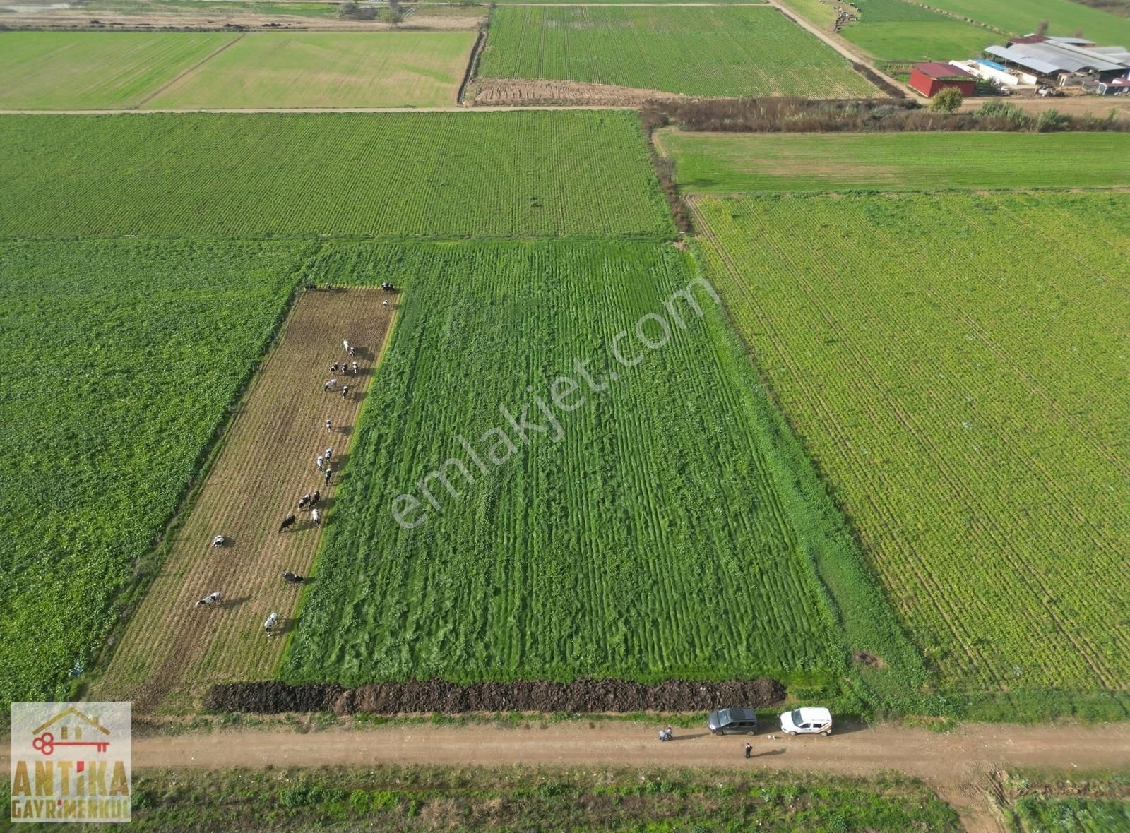 Antika Gayrimenkulden Yölüstü Mahallesinde Satılık 7663 M² Tarla - Görsel 4